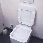 bideo® WC Reiniger-Intensivschaum (1,5 kg)