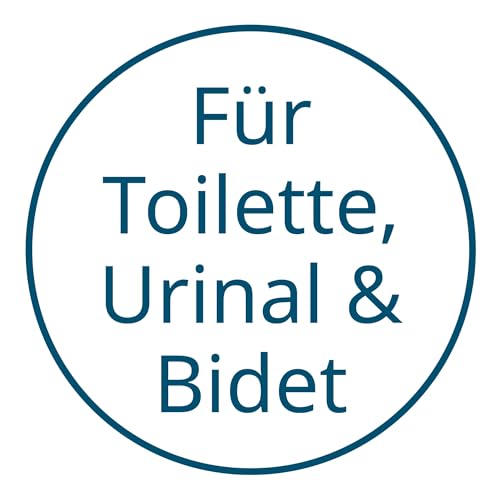 bideo® WC Reiniger-Intensivschaum (3 x 1,5 kg)
