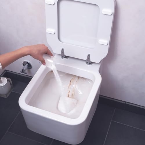 bideo® WC Reiniger-Intensivschaum (1,5 kg)